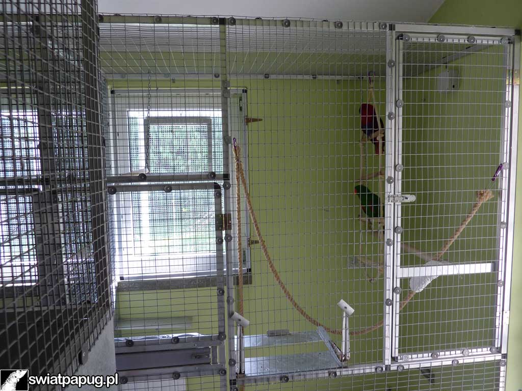 Wewnętrzna woliera z żerdziami i wyposażeniem dla papug