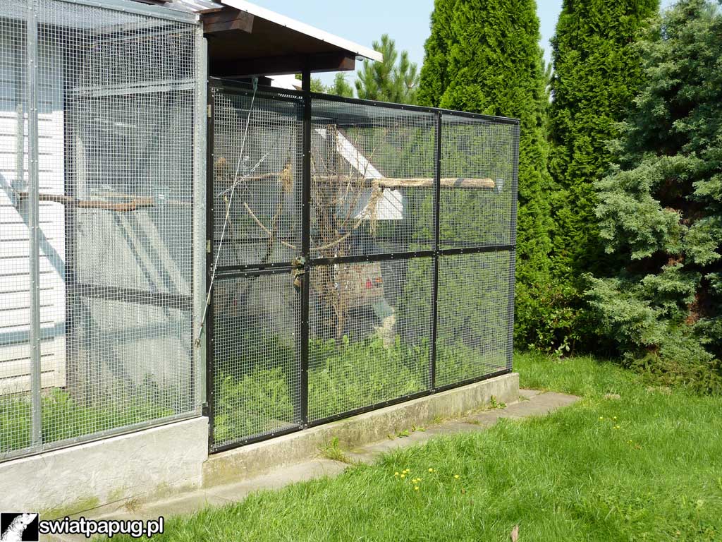 Boczny widok zewnętrznej woliery dla papug
