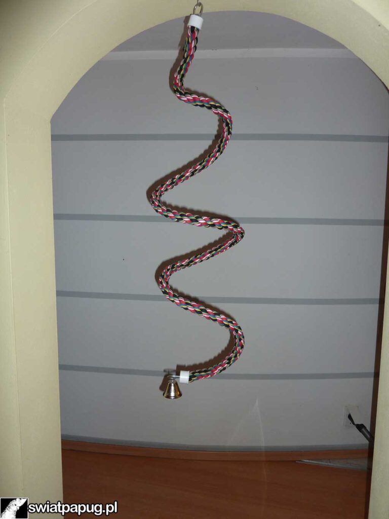 Spiralna lina do wspinania z dzwonkiem dla papugi